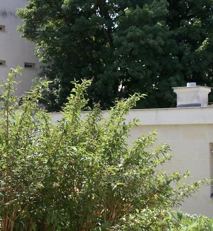 Le Petit Trianon, Parc Du Chateau Apartment Versailles Luaran gambar
